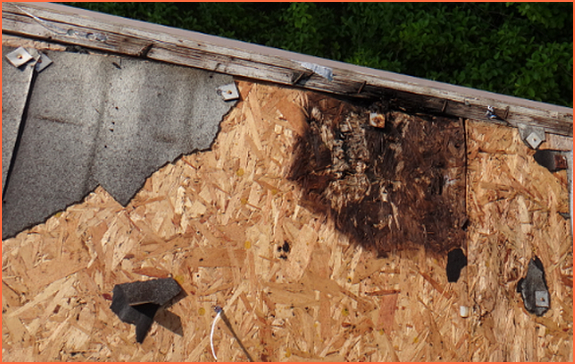 osb damaged from moisture osb damaged from moisture