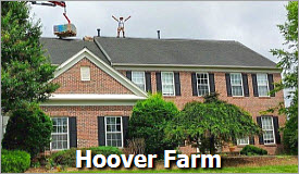 Larson Project Hoover Farm Laytonsville