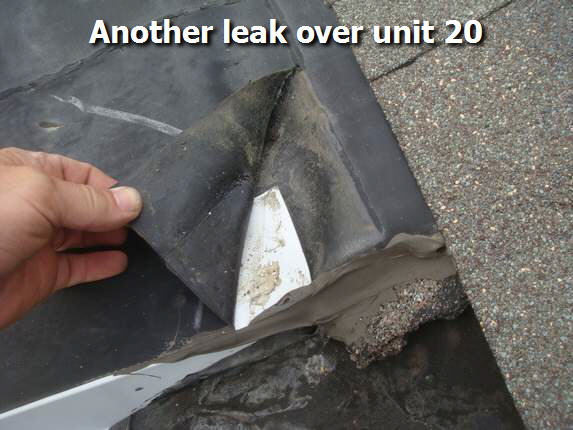 Roof leak unit 20