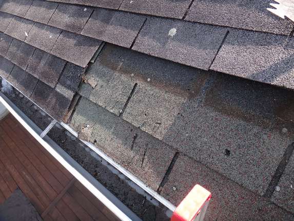 Shingles being stripped
