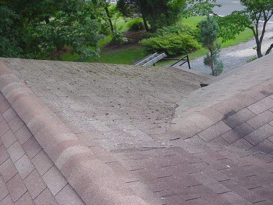 Md Roof Md Roof