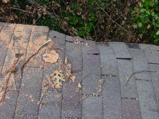 Roof insurance repair Roof insurance repair