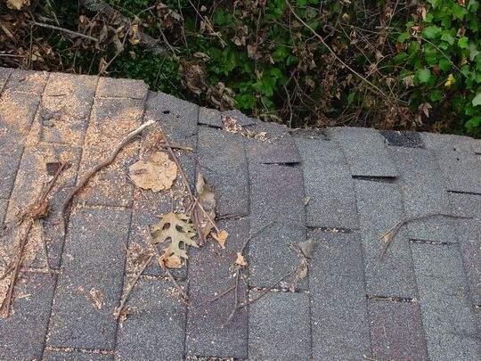 Roof insurance repair