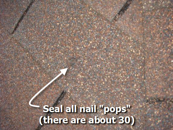 Repair Nail Pops