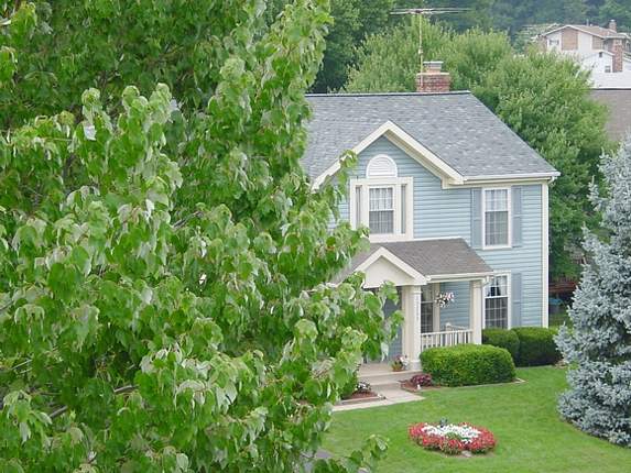 roof view of shingles