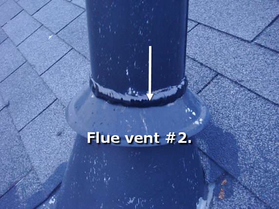 Flue vent seal