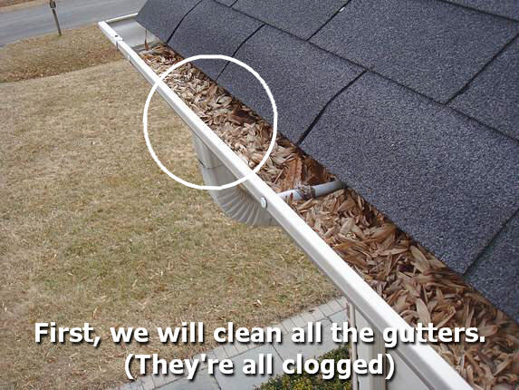 Gutter Cleaning